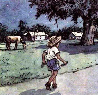 Огурцы - Носов Н.Н.