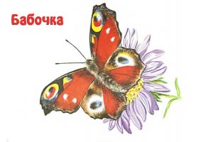 Карточки "Насекомые" для детей - распечатать бесплатно | Мишкины книжки