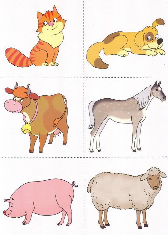 Картинки домашних животных для детей цветные красивые для печати
