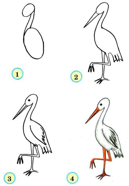 Рисуем животных и птиц