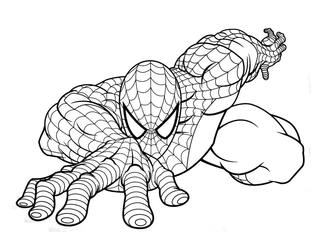 Раскраски Человек-паук (Spiderman) .