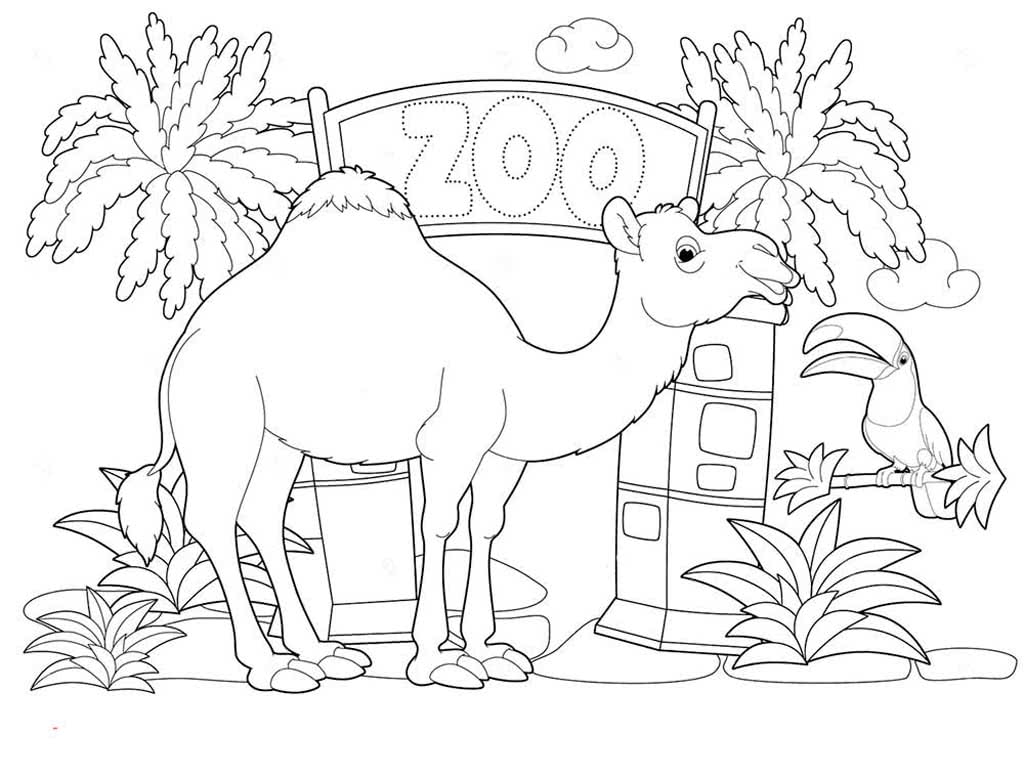 Раскраска на тему зоопарк для детей