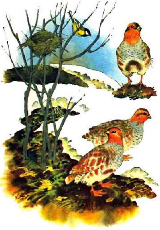 Синичкин календарь - Бианки В.В.