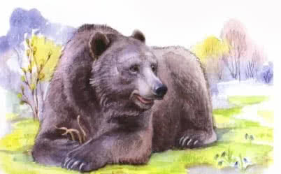 Заяц, косач, медведь и весна - Бианки В.В.