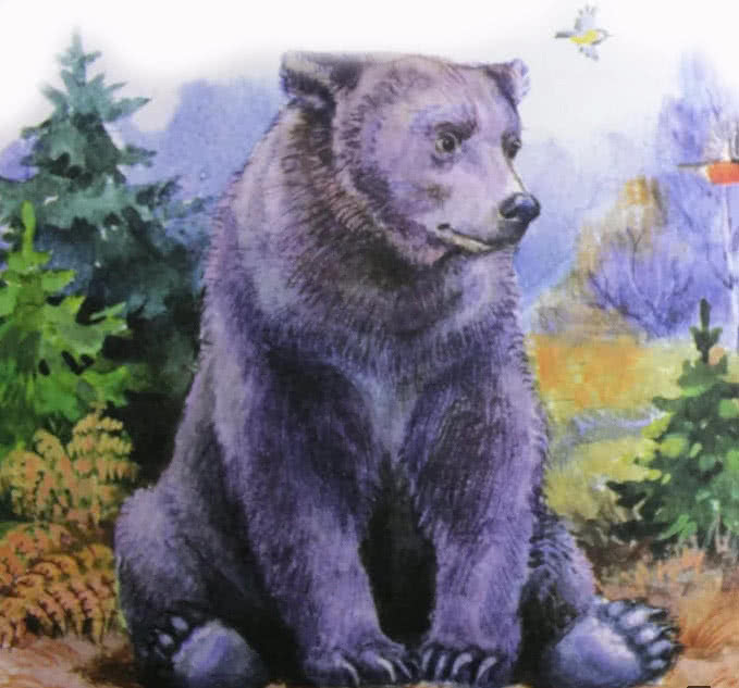 Заяц, косач, медведь и весна - Бианки В.В.