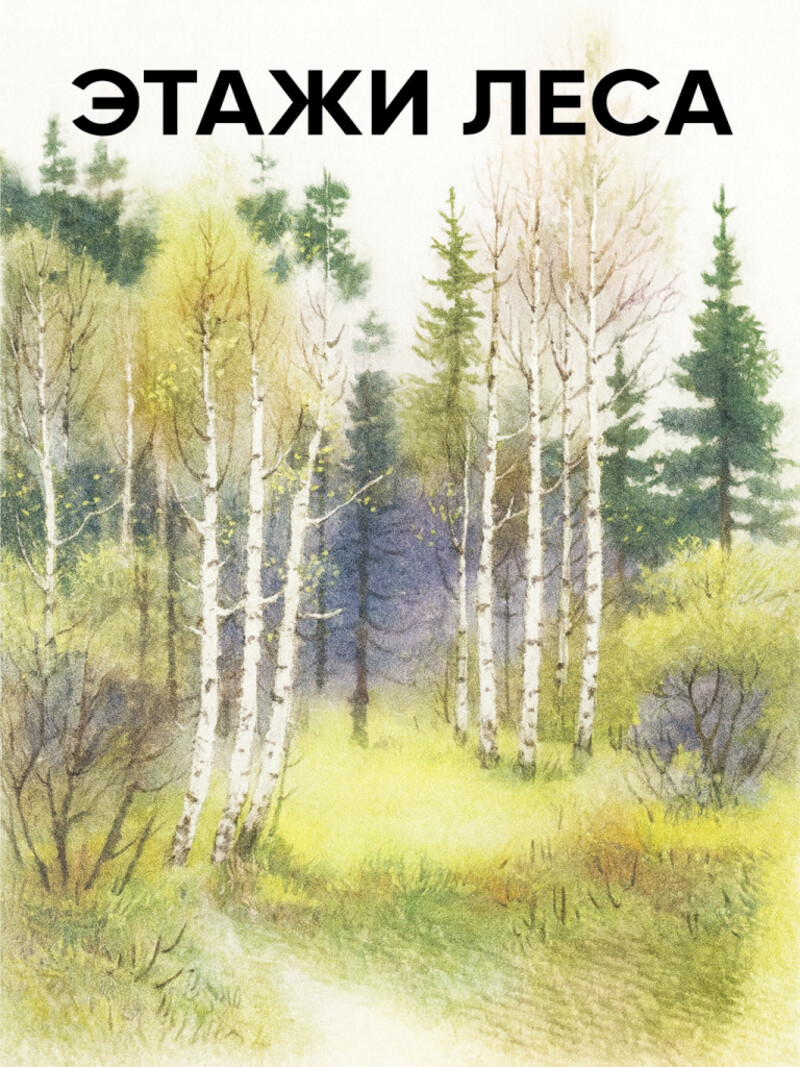 Этажи леса — Пришвин М.М.&nbsp;(аудиоверсия)
