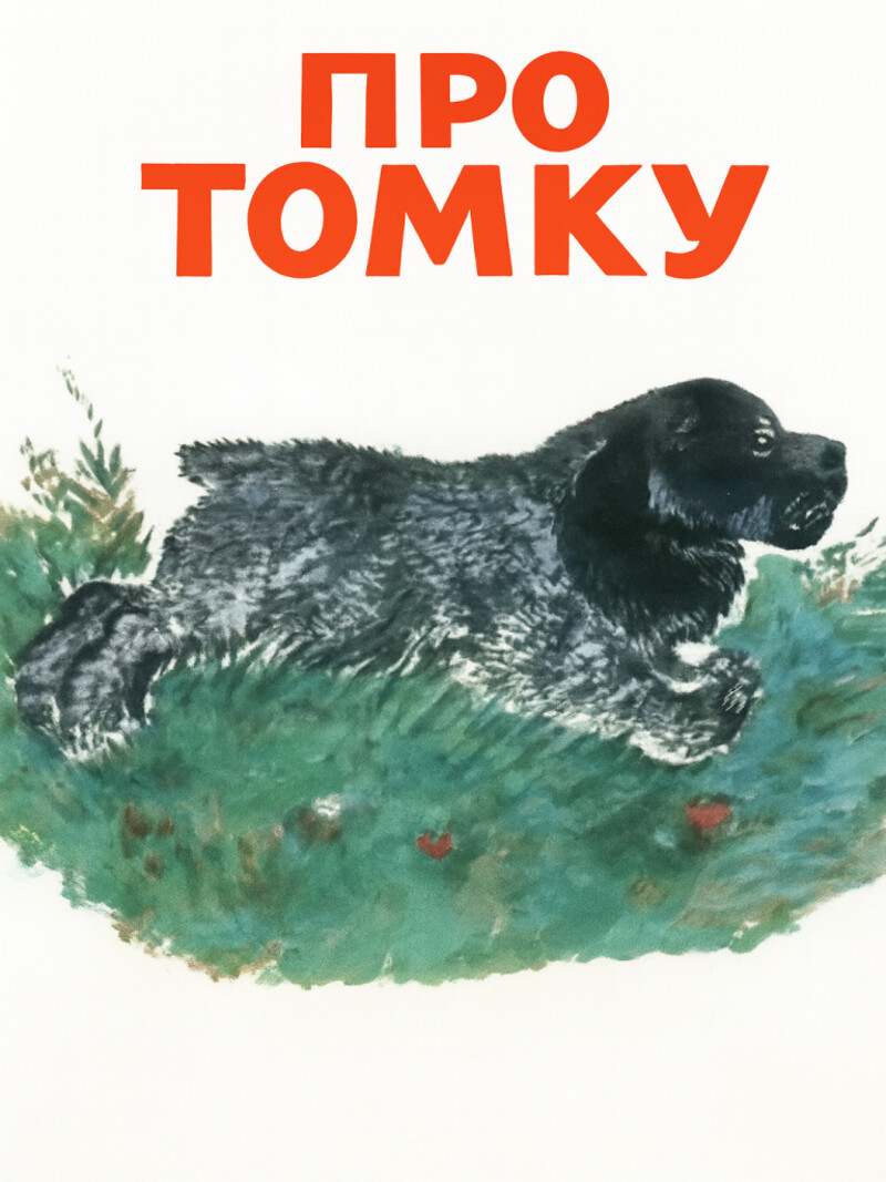 Аудиорассказ «Как Томка научился плавать»