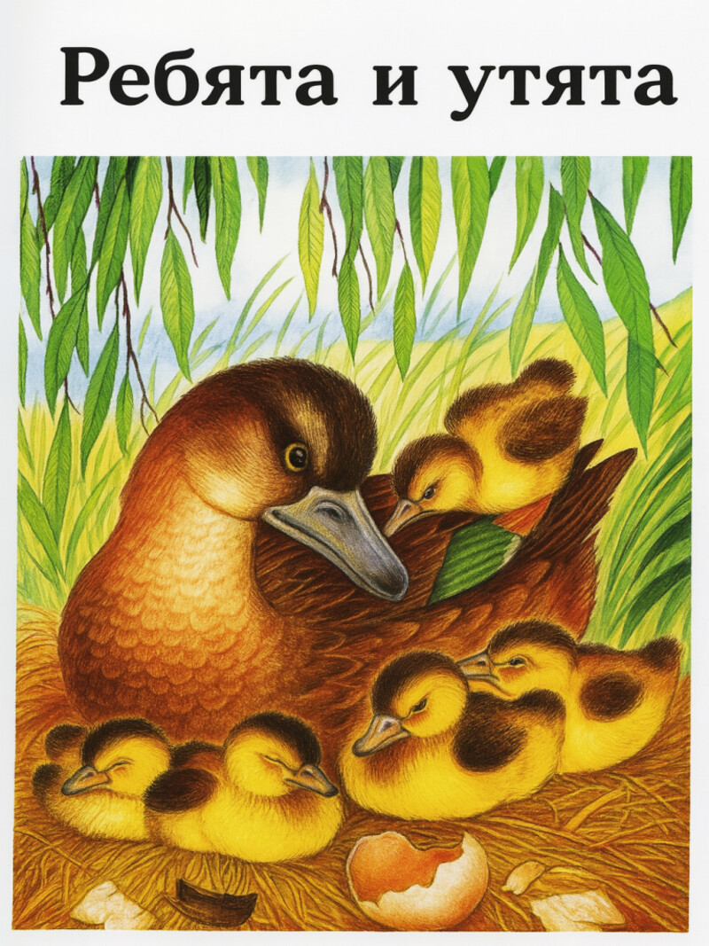 Ребята и утята — Пришвин М.М.&nbsp;(аудиоверсия)