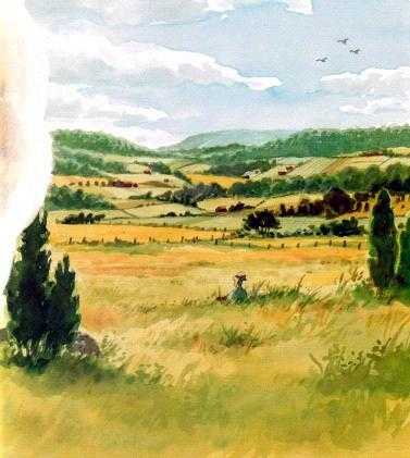 В погоне за шляпой - Нурдквист С.
