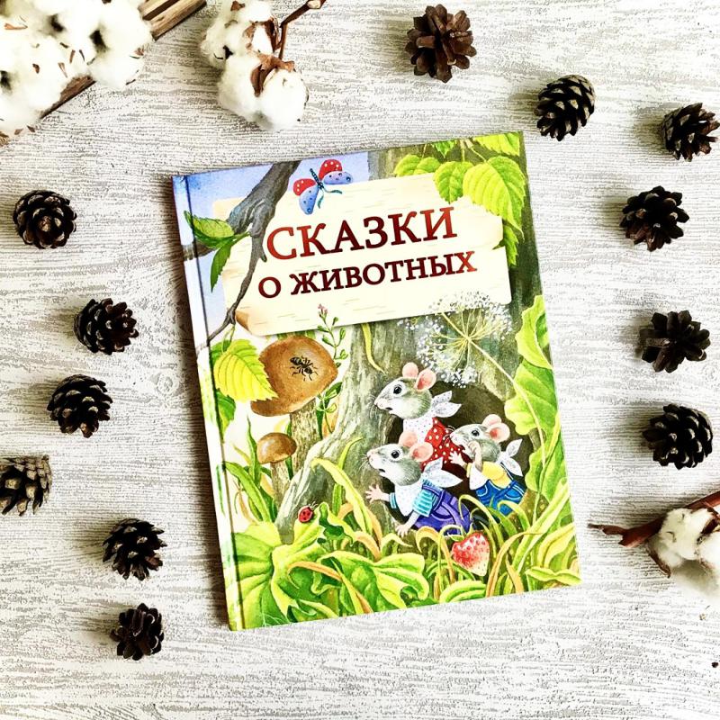 Слушать книгу сказок. Сборник сказок о животных. Мишкины книжки. Мишкины книжки аудиосказки. Детская литература Мишкины сказки.