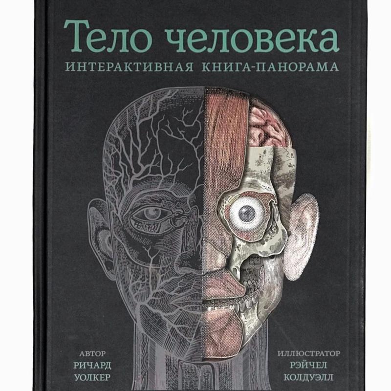 Книга человечество. Книга тело человека Ричард Уолкер. Ричард Уолкер тело человека интерактивная. Тело человека интерактивная книга-панорама Ричард Уолкер. Миф тело человека интерактивная книга.