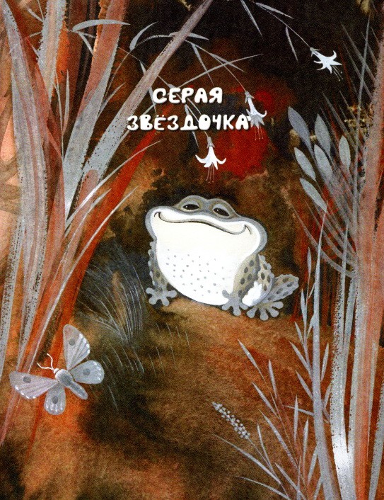 План к рассказу серая звездочка