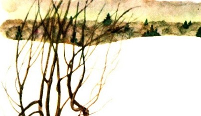 шепот ропот лесов лугов голы долы зимы холмы автор