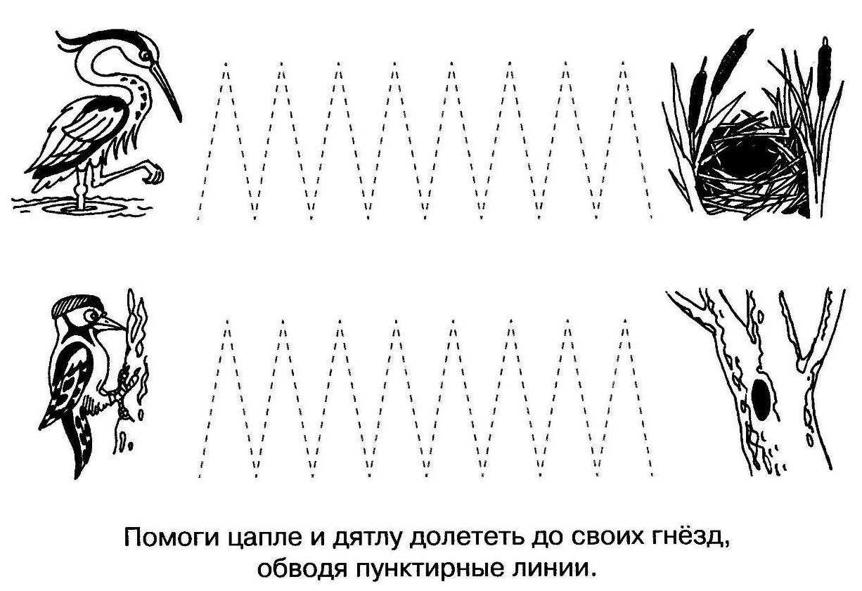 Задания в картинках для дошкольников по теме перелетные птицы