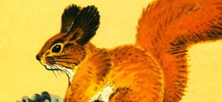 Загадочный зверь. Сборник рассказов — Сладков Н.И.