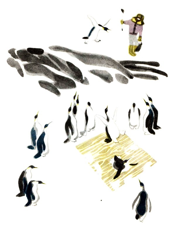 Пересказ снегирева про пингвинов в старшей группе. Пингвиний пляж Снегирев. Снегирёв про пингвинов. Г. Снегирёв "про пингвинов" 11.