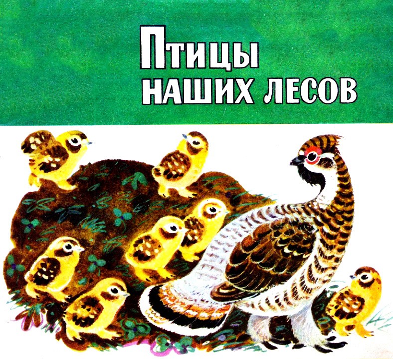 Птицы наших лесов