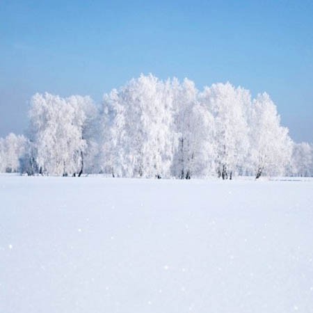 Самый белый снег песни