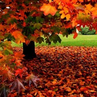Осенний пейзаж - песня про осень