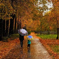 Про дождик - песня про осень