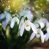 Апрельский дождик - песня о весне
