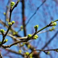 Вернись, апрель - песня о весне
