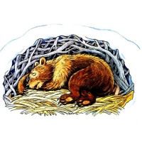 Немецкие Новогодние Песни Немецкие Новогодние Песни