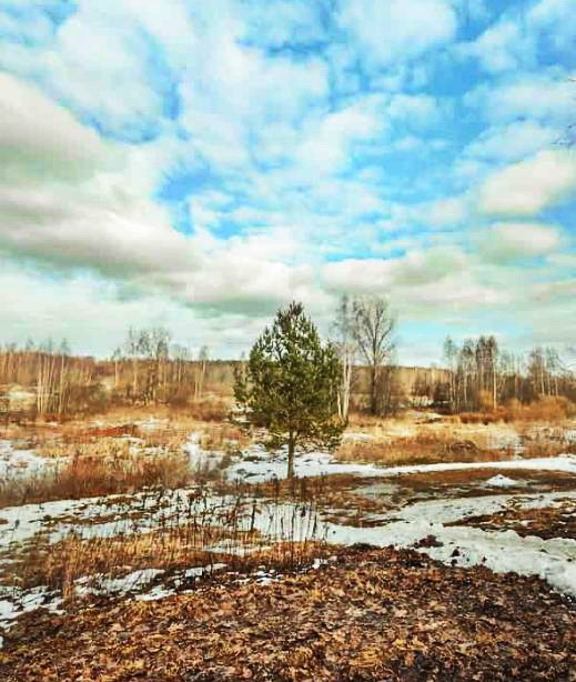 Вот уж снег последний в поле тает