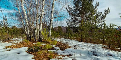 Весенние строчки