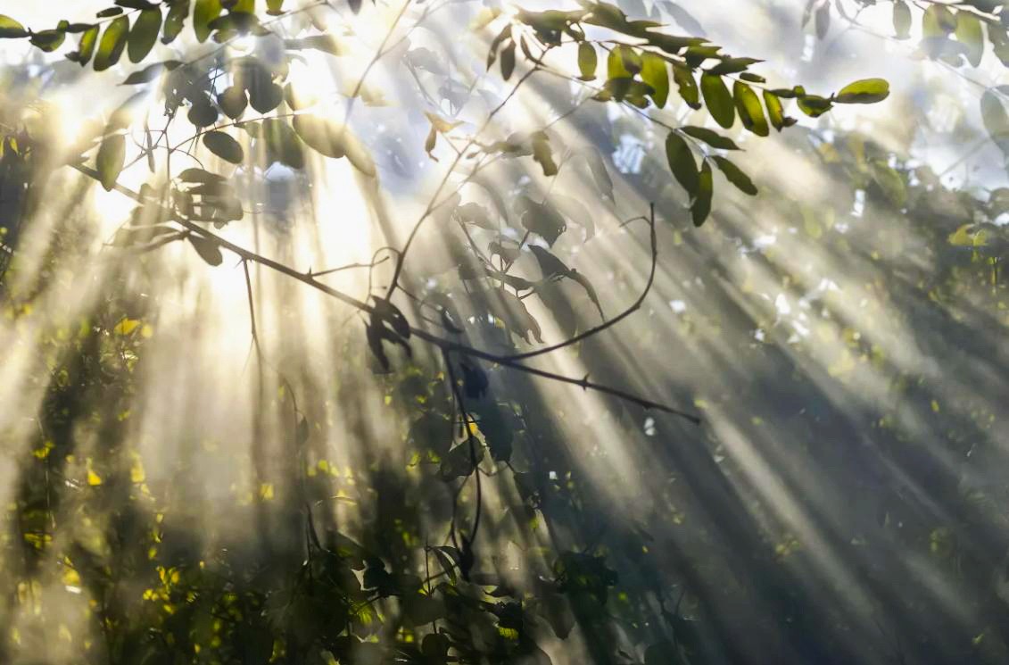 ауди q3 новый черный. ребусы о беларуси. монеты белоруссии 2009 копейки. 5g. Audi q3 2018.