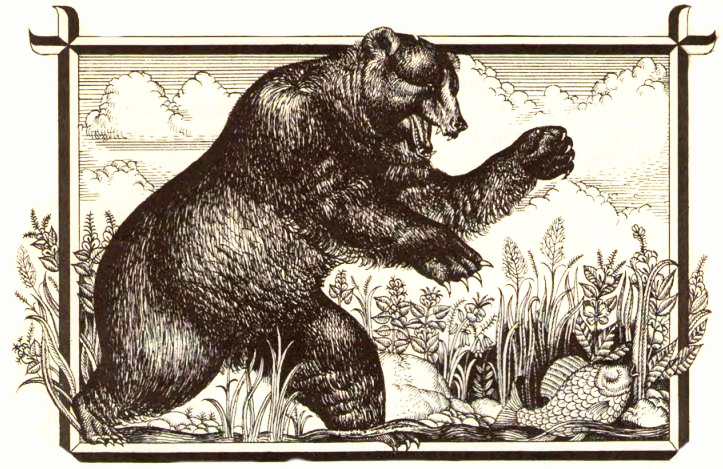 Медведь и карась