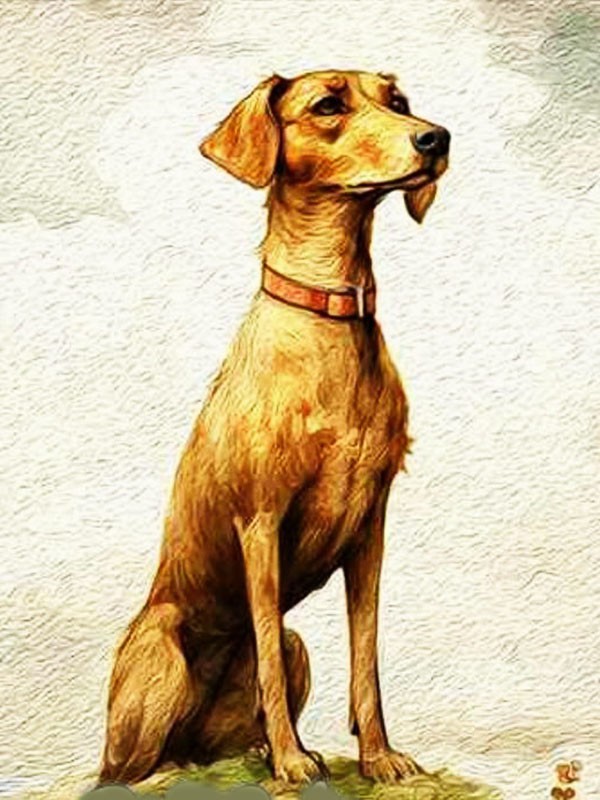 Анчар – Пришвин М.М.&nbsp;(аудиоверсия)