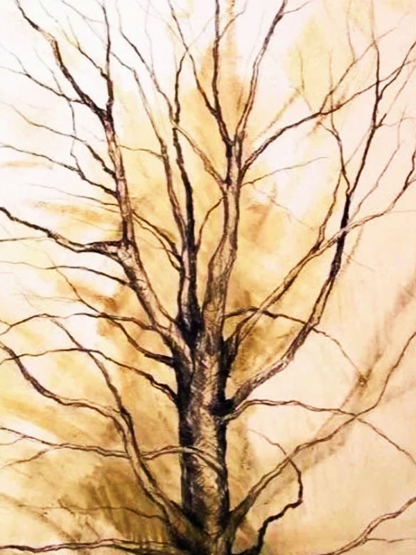 Сухостойное дерево — Пришвин М.М.&nbsp;(аудиоверсия)