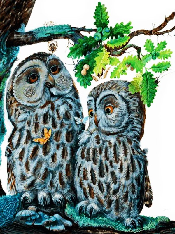 Лесные разведчики – Бианки В.В. (аудиоверсия)