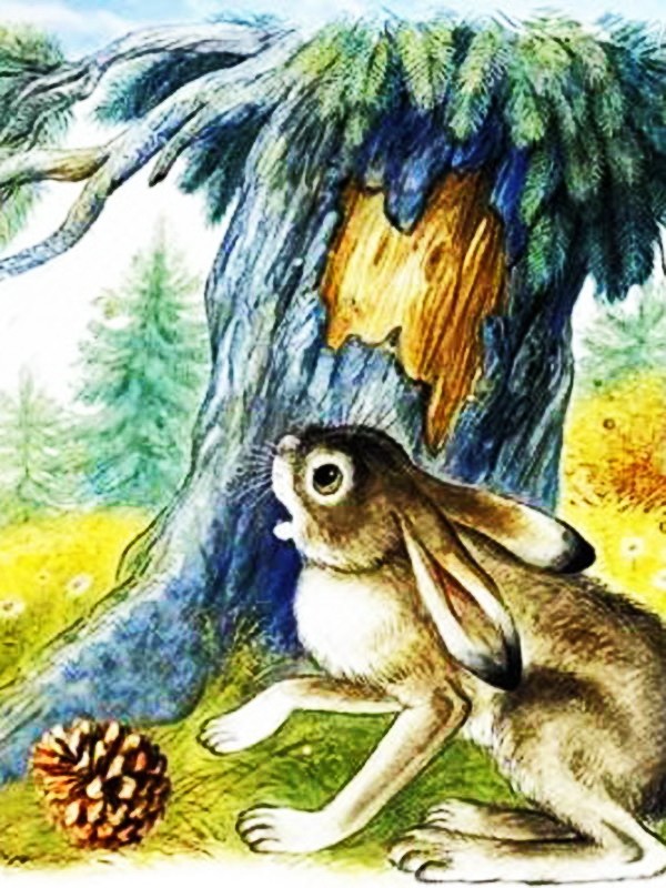 Сосновая шишка — Козлов С.Г.&nbsp;(аудиоверсия)