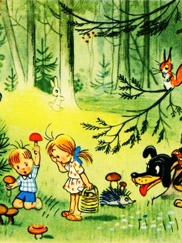 Аудиосказка «Мы в лесу»