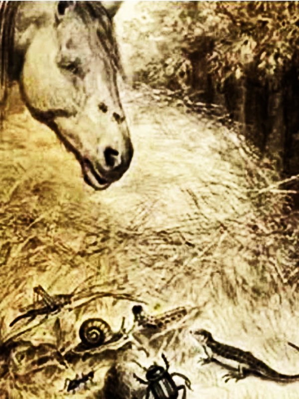 Аудиосказка «То, чего не было»