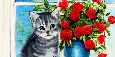 Волшебная сказка