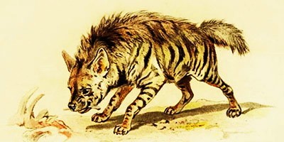 Гиена — Салтыков-Щедрин М.Е. (аудиоверсия)