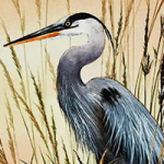 Не та цапля