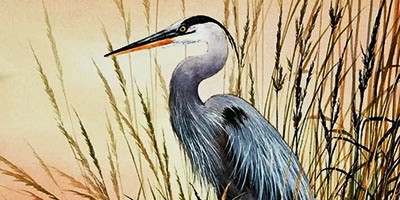 Не та цапля