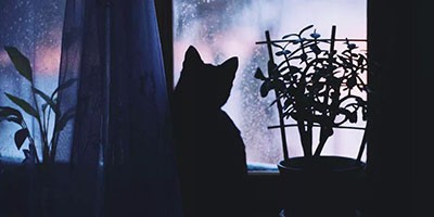 Очень страшная история