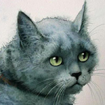 Серая кошка