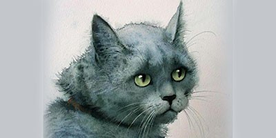 Серая кошка