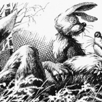 Здравомысленный заяц