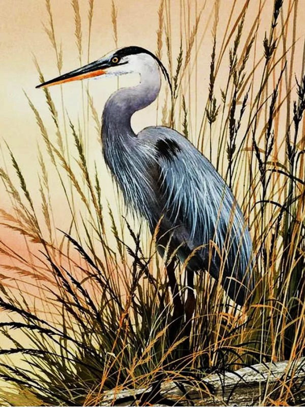 Аудиосказка «Не та цапля»