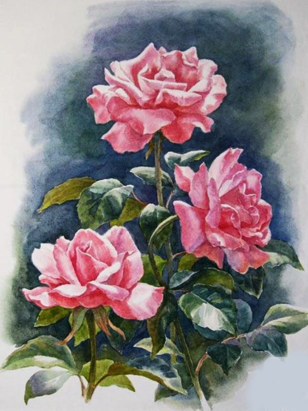 Аудиосказка «Розовые цветы»