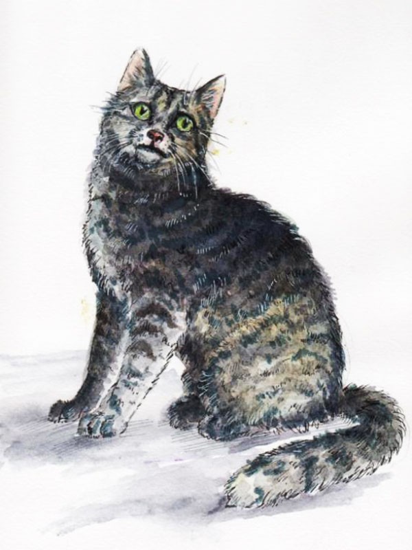 Аудиосказка «Серая кошка»