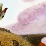 Красношейка