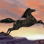 Мустанг-иноходец